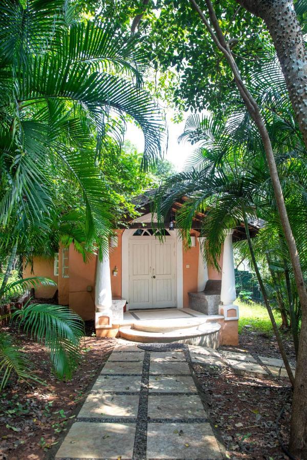 Wildflower Villas - All Villa Hotel, Family Run Candolim Buitenkant foto