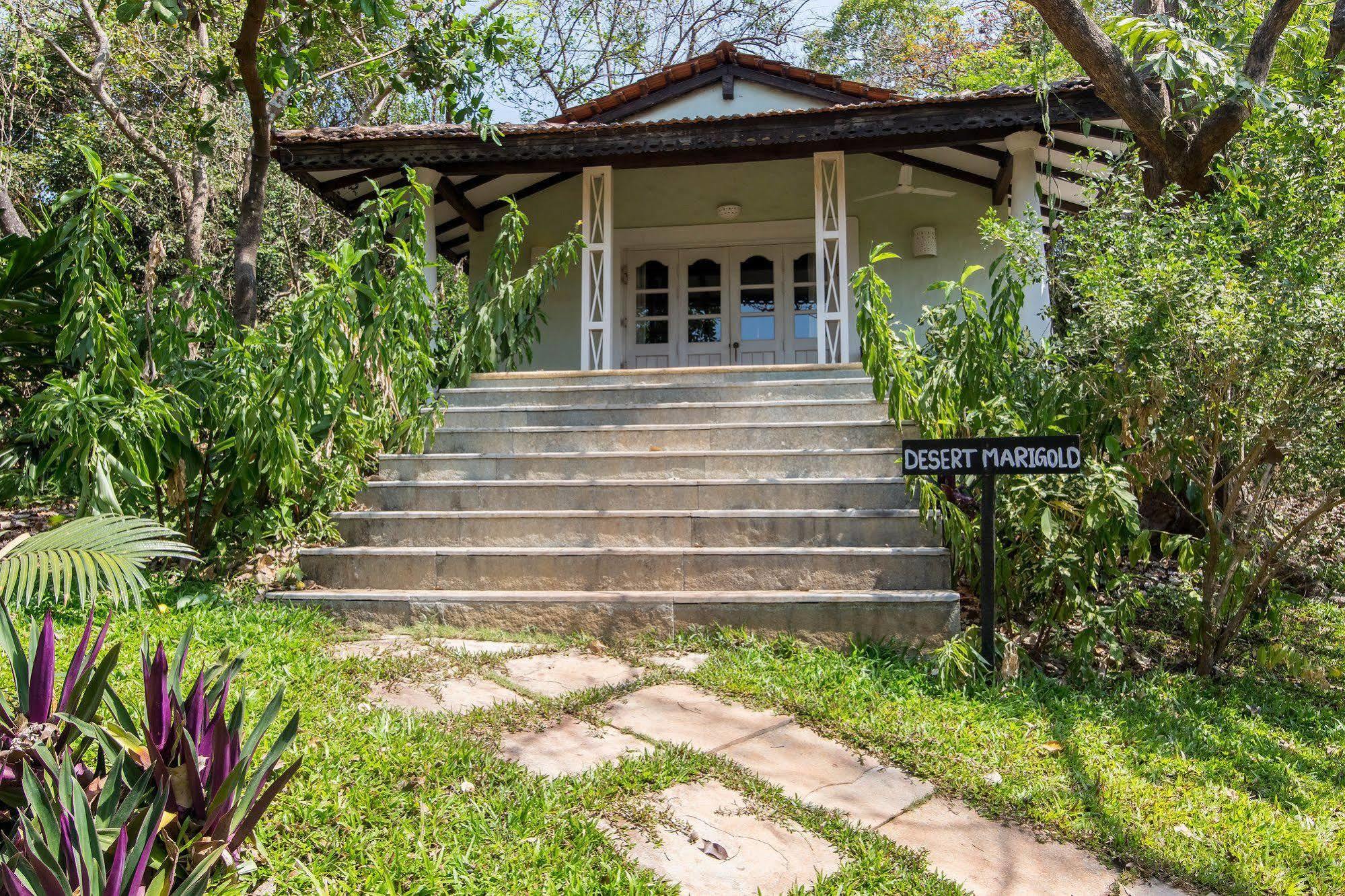 Wildflower Villas - All Villa Hotel, Family Run Candolim Buitenkant foto